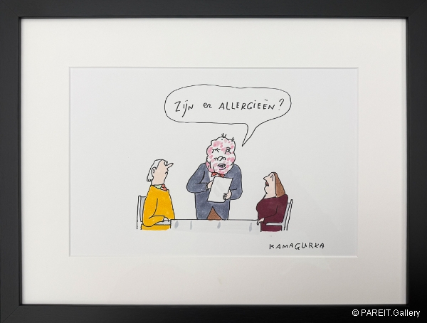 KAMAGURKA - Allergie�n